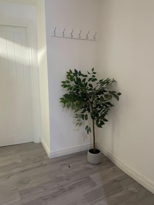 Modern 1-Bed Apartment Belfast Eksteriør bilde