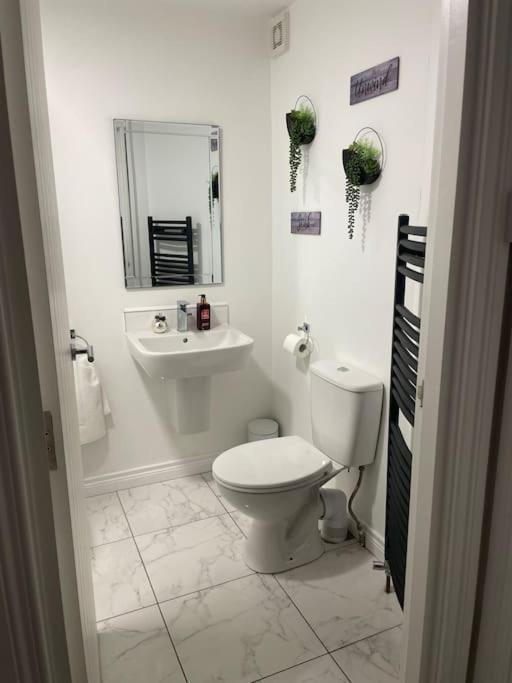 Modern 1-Bed Apartment Belfast Eksteriør bilde